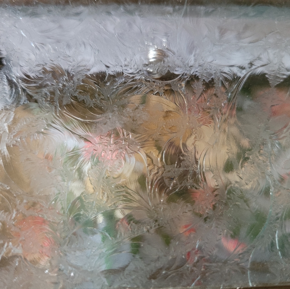 Amazing Pressed Flowers Beveled Glass Jewelry/Trinket Box - Picture 10 of 16